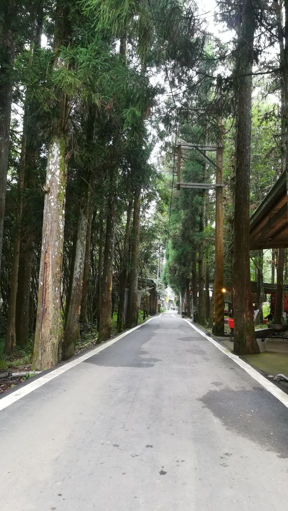 20180603南庄向天湖環湖步道_346504