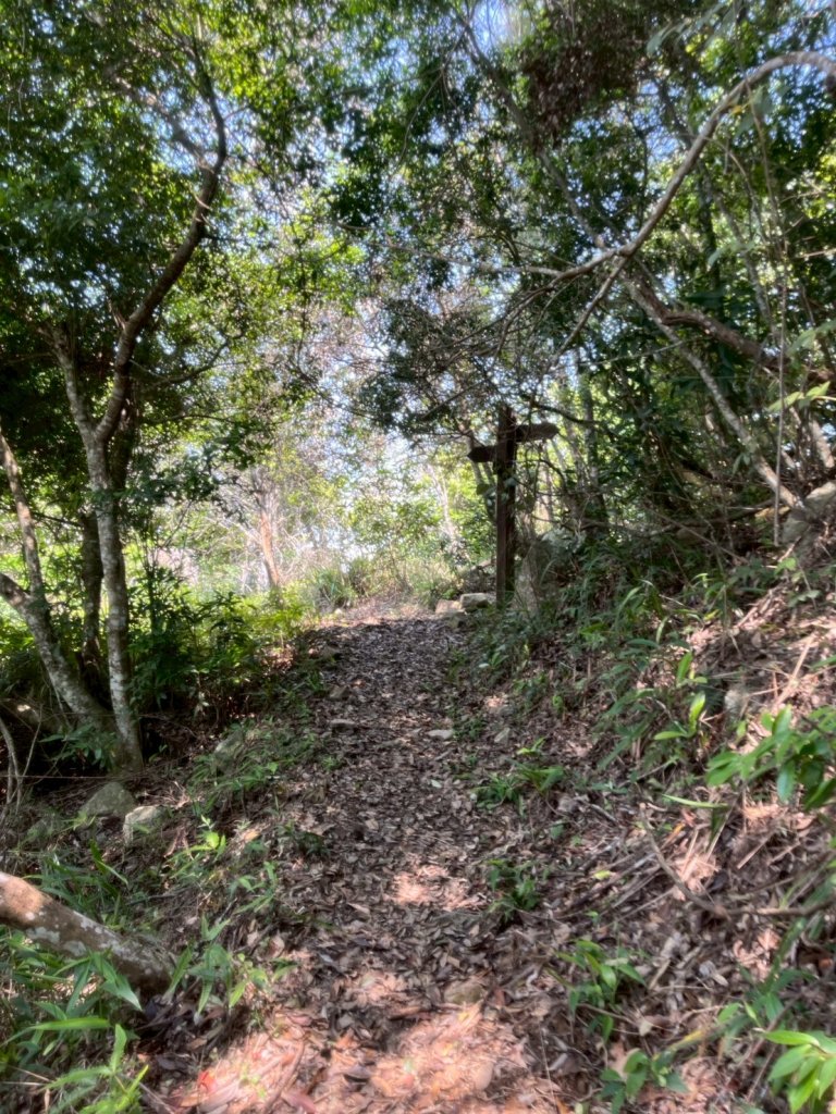 台中 和平 東卯山_2771841