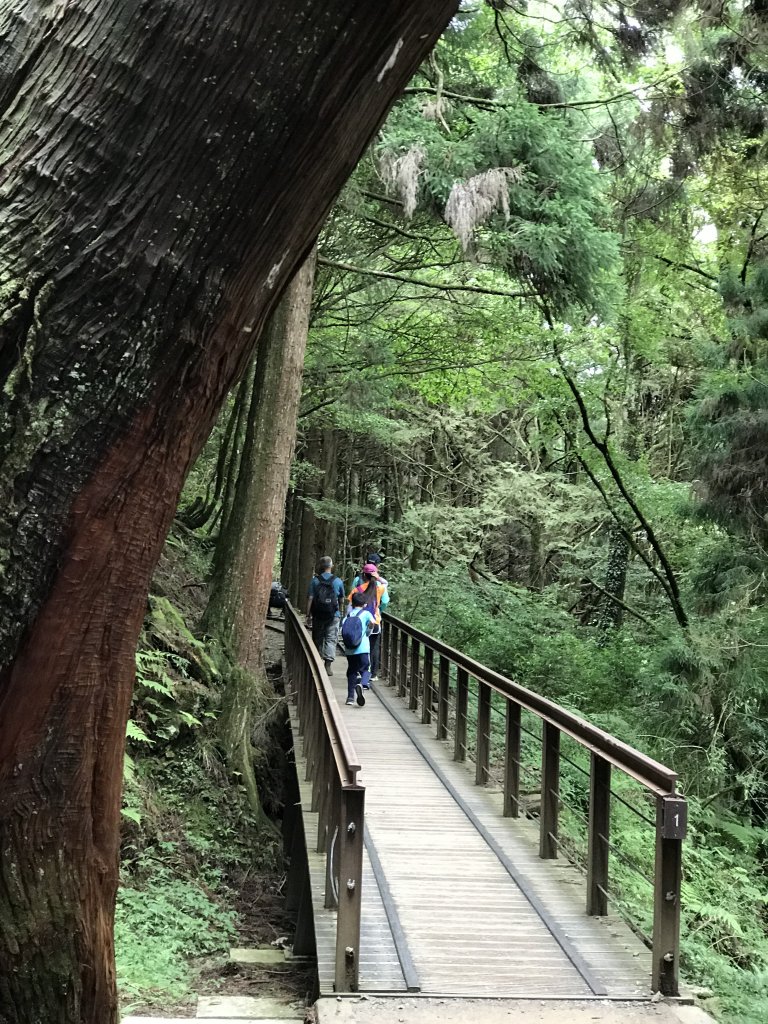 109年6月26日特富野古道_1027081