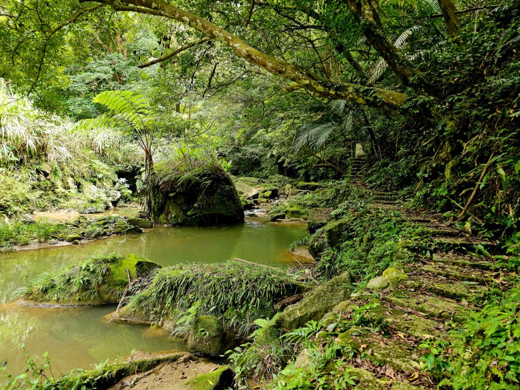 四寮溪生態步道-2025森遊竹縣皮皮獅探險隊封面圖