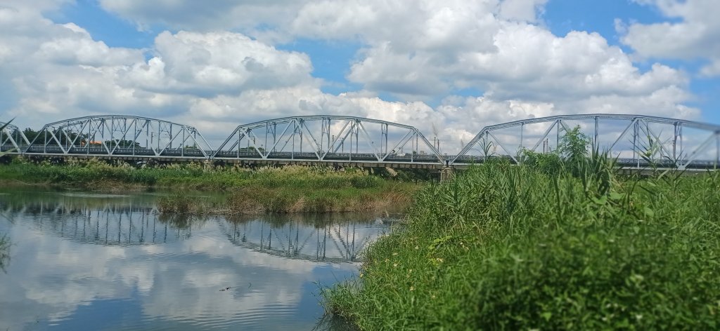 舊鐵橋溼地生態公園.大樹封面圖