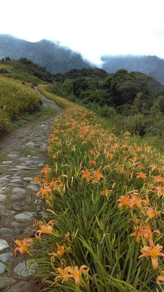 萬人山（小百岳），六十石山_394629