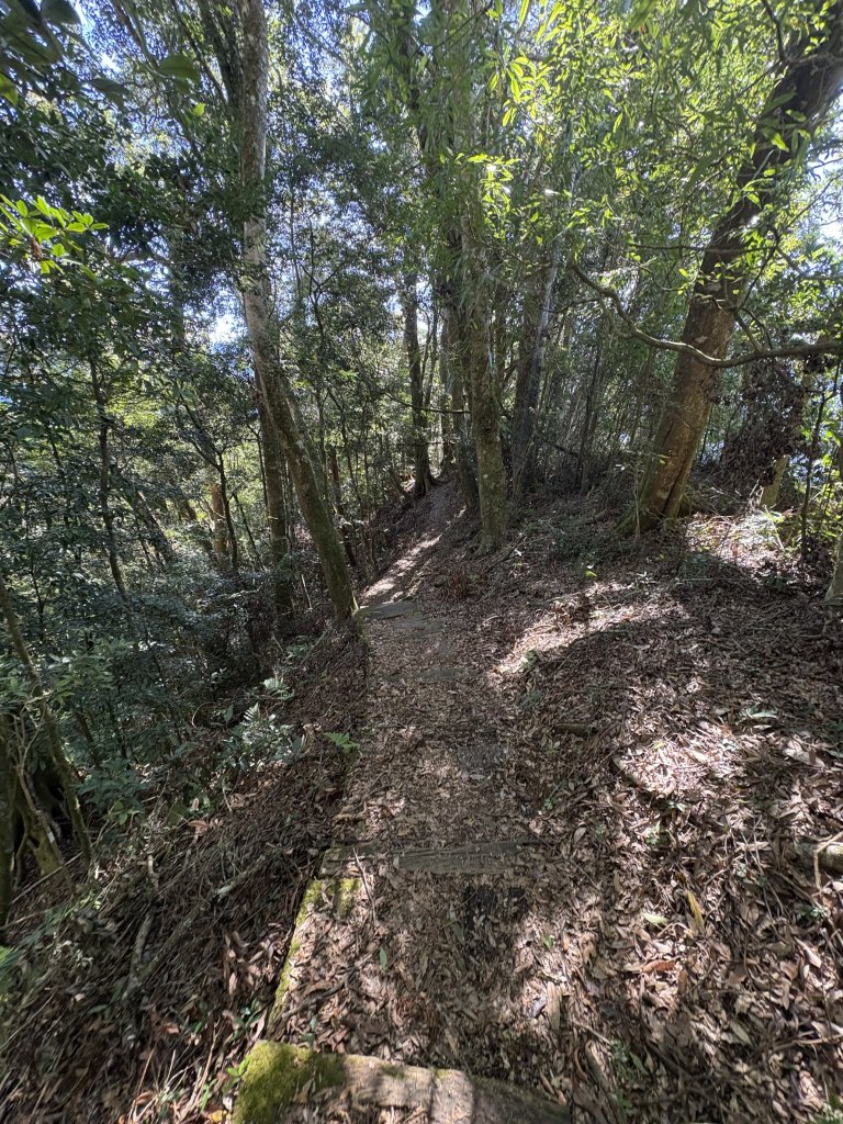 20251221嘉南雲峰、石壁山登山步道_2968141