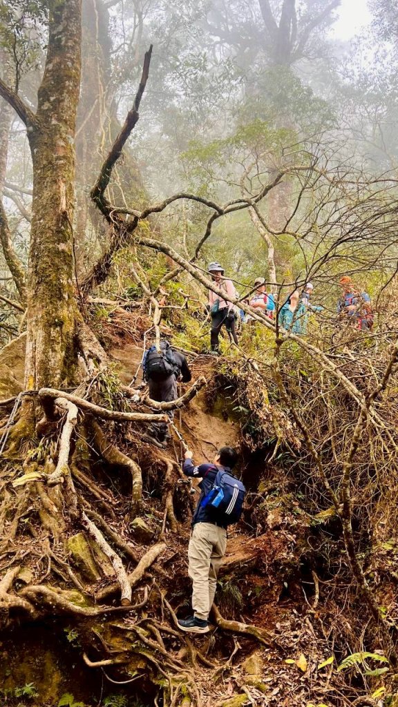 🌈1/18（日）忘憂森林×金柑樹山×溪頭天文台✨FB：熊熊趴爬走🌈_2983971
