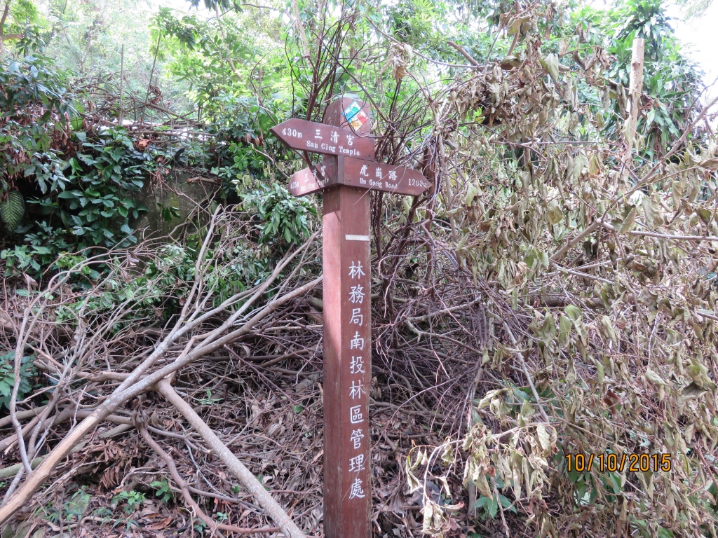 桃源里森林步道1_22336