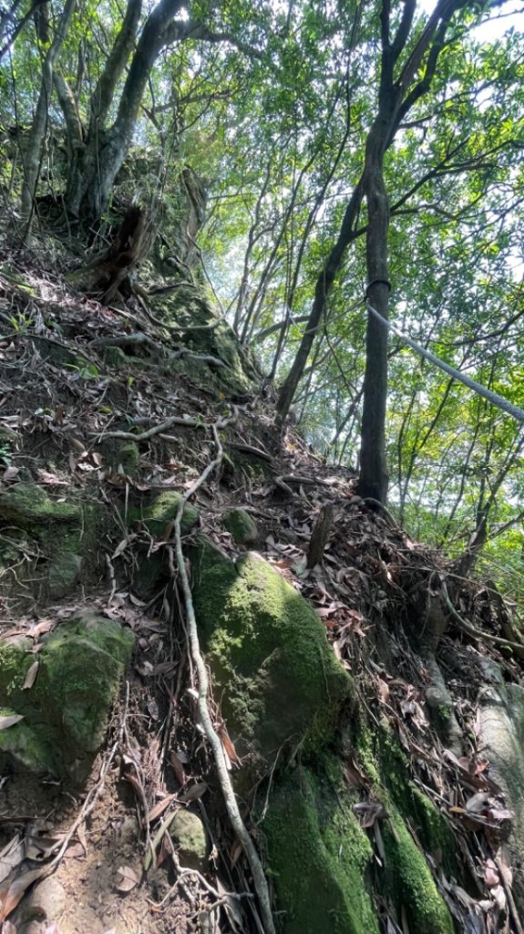 雙溪-四柑-後番子坑古道-土地公-上下內平林-大平林山-石笋-焿子寮古道-猴硐-金瓜石大小粗坑古道_2767437