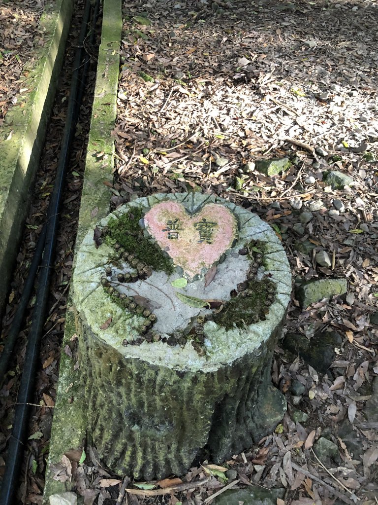 鳶嘴稍來國家步道季秋縱走_1144700
