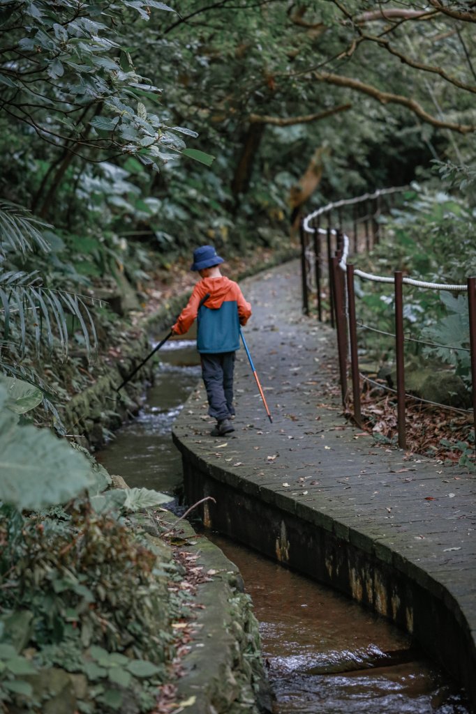 遇見淡水版花園鰻 - 半嶺水圳步道上游段 & 松溪瀑布_2651145