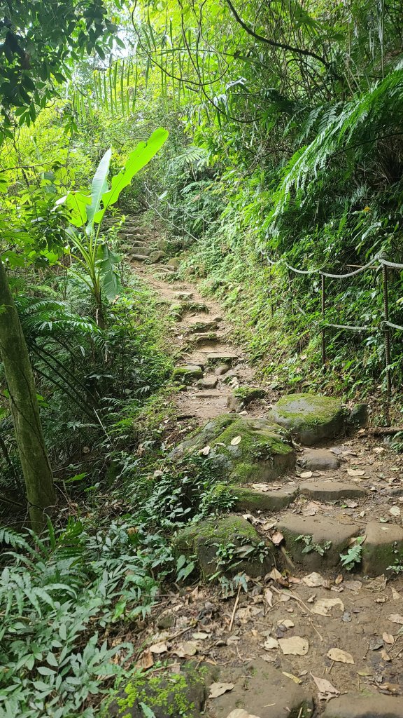 2024-0107台北大縱走第六段_2437655