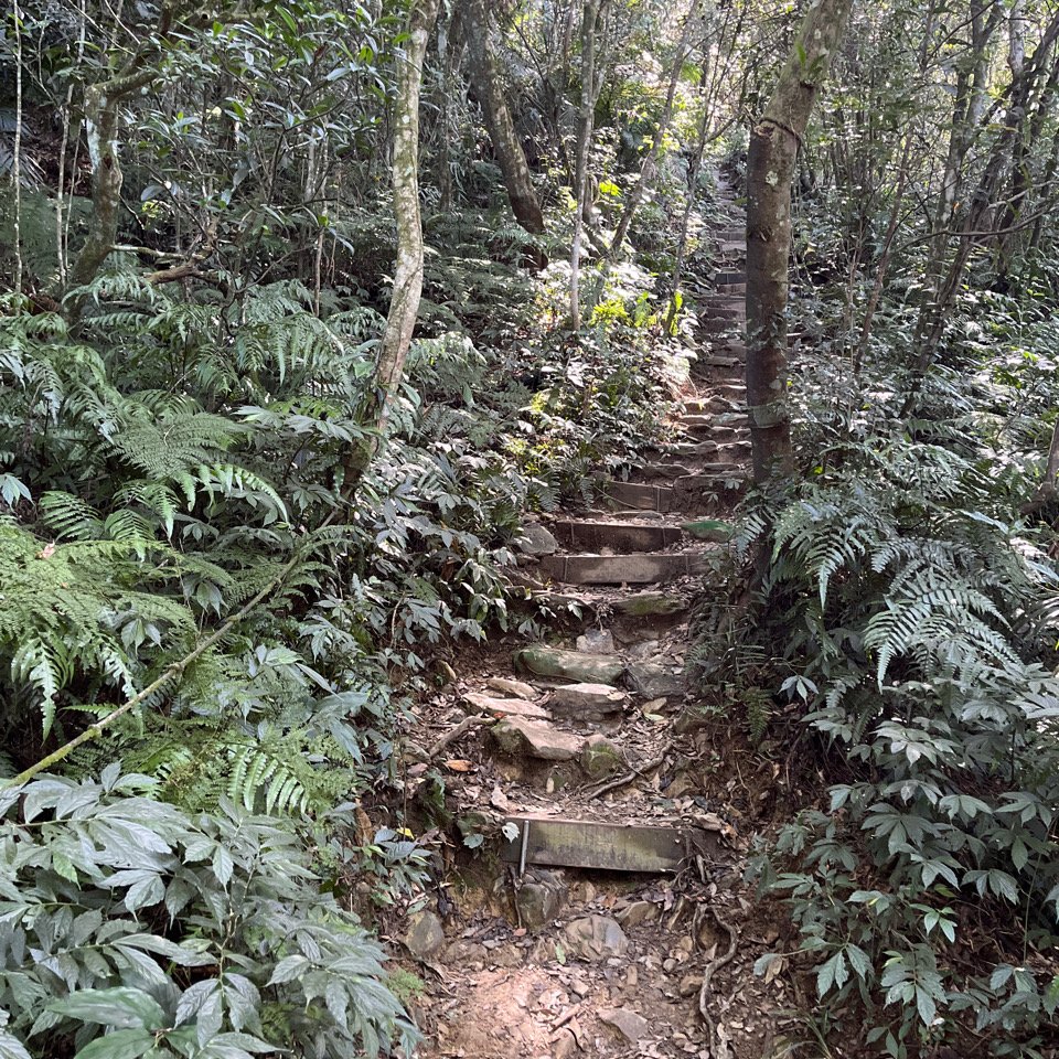 20151117_尾寮山（屏東小百岳）_2941611