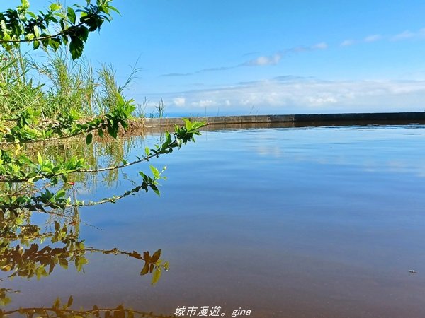 【台東。 大武】遠眺一望無際藍色太平洋。 小百岳集起來。 編號96小百岳-巴塱衛山步道_1635402