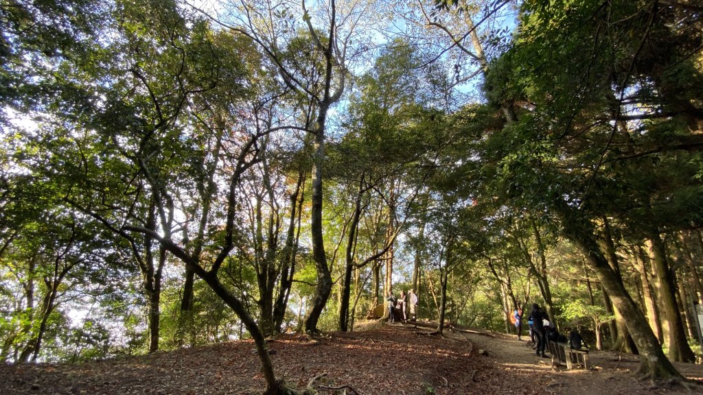 苗栗南庄加里山大坪線雲海上的聖誕節野餐趴_1217109