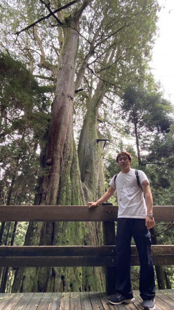 新竹檜山巨木群步道_982166