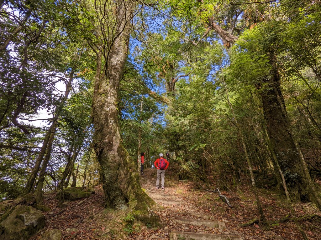 鳶嘴山稍來山封面圖