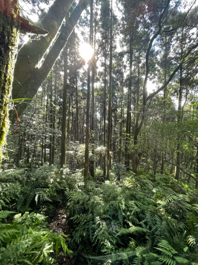 獅熊縱走_1923045