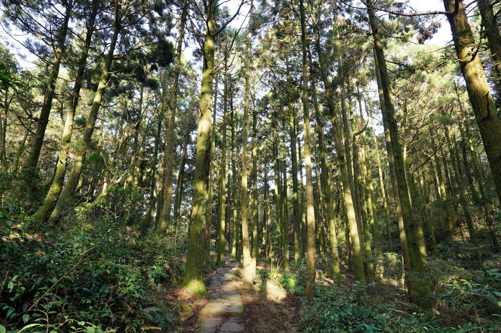 臺北 士林 香對山、頂山、杏林山、北五指山、高頂山、北頂山、馬蕃山、頂山溪山、五指山_2703249
