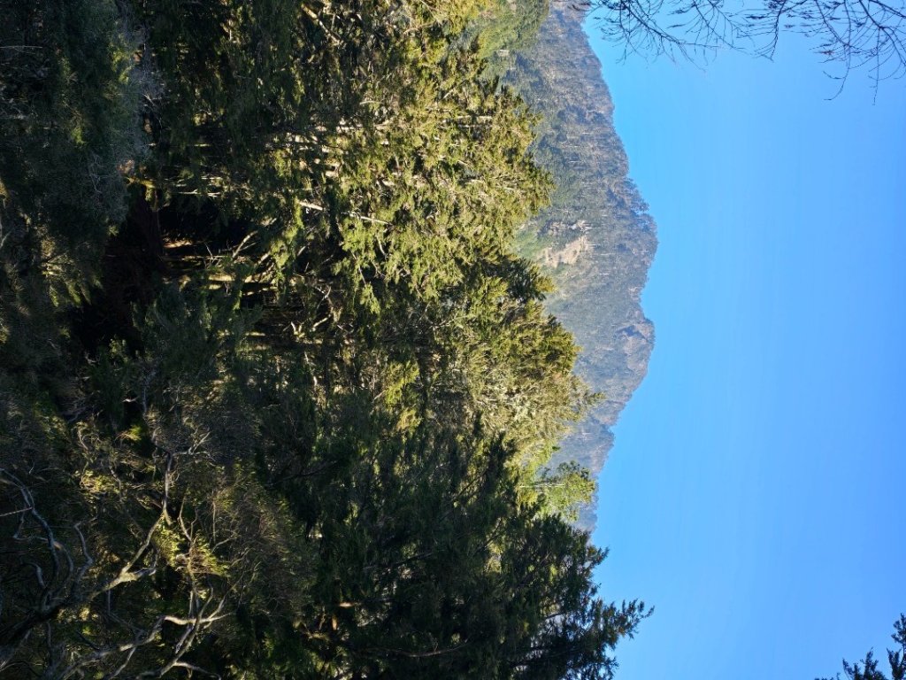 卓社大山〔武界栗栖溪登山口起登〕_2748432