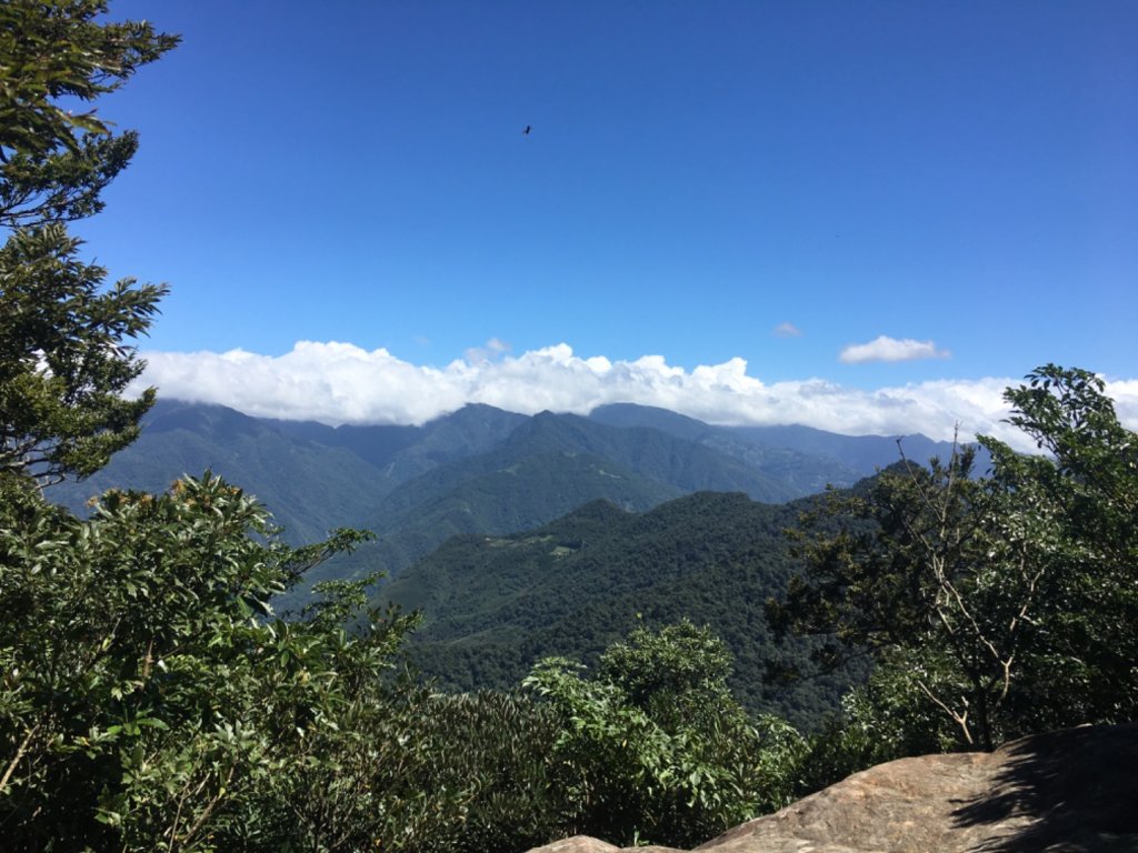 鳥結o. (內鳥嘴、那是山_2595858