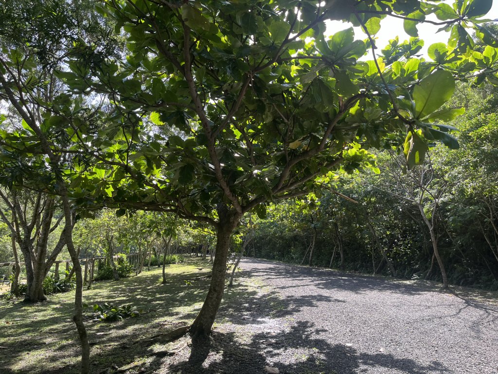 [屏步青雲 尋寶任務-03/10] 2024_0917 雙流國家森林遊樂區（瀑布步道）_2597651