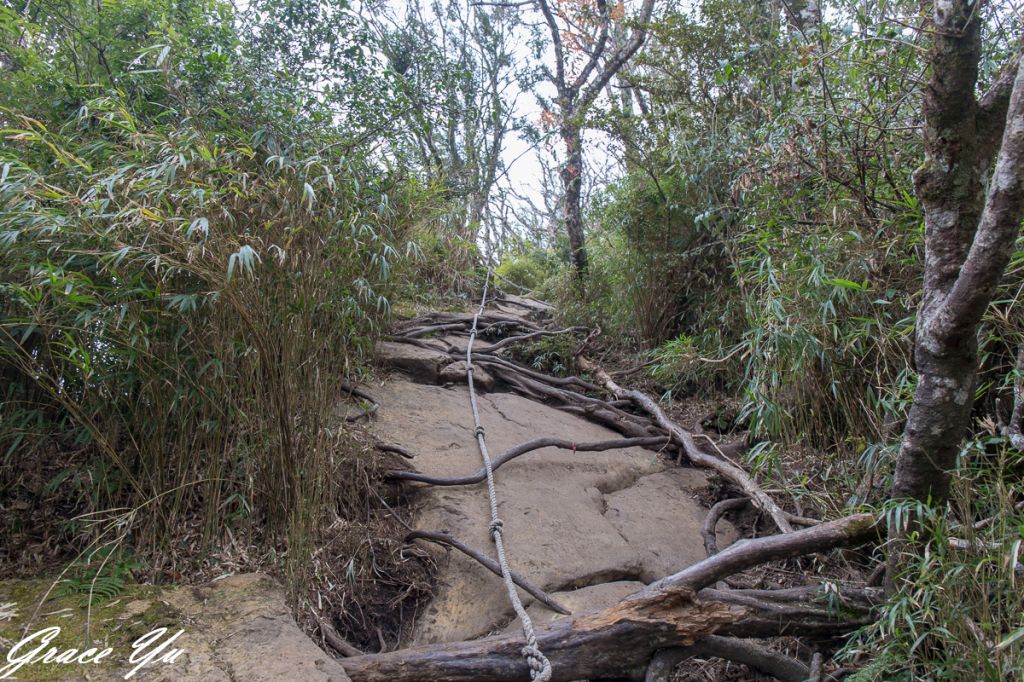 2018.3.30 加里山_303509