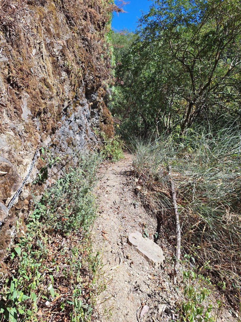 石山引水道20251211_2959552