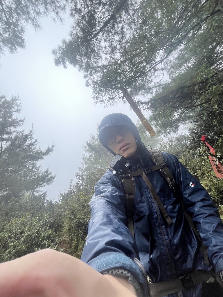 鹿林山-鹿林前山-真鹿林山-石水山-石水山基點峰 2025.5.25_2798427