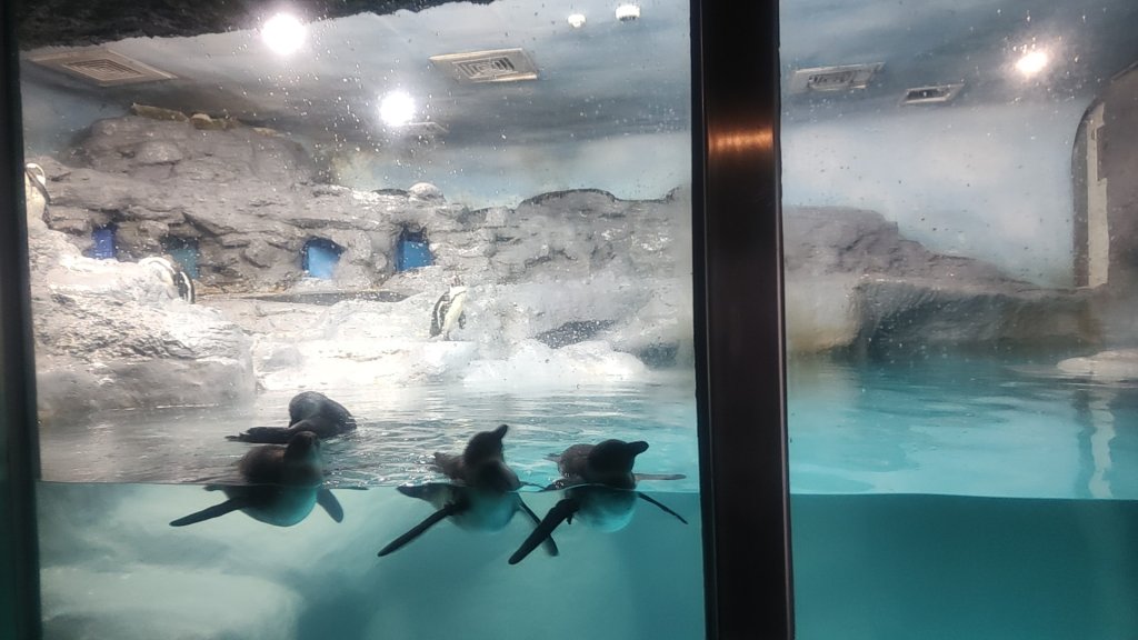 台北動物園_2664017