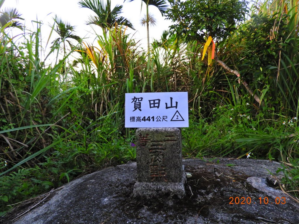 花蓮 壽豐 賀田山封面圖