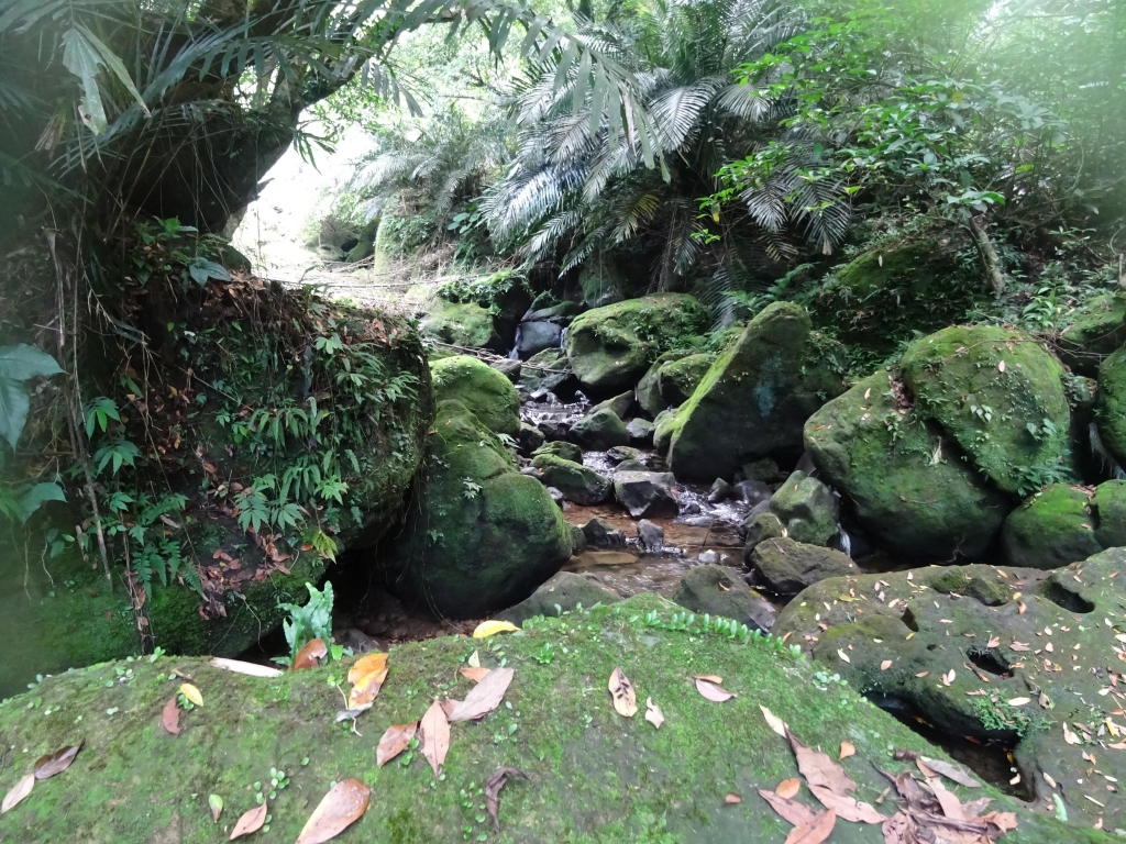 【春夏之際】沁涼消暑輕旅行~三貂嶺群瀑越嶺柴寮古道_19113