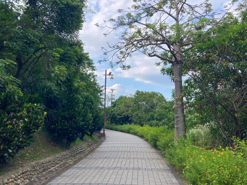 2023 南港公園 (健康大榖東，臺北趴趴走)_2280046