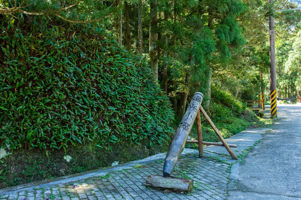 馬武督探索森林_2930678