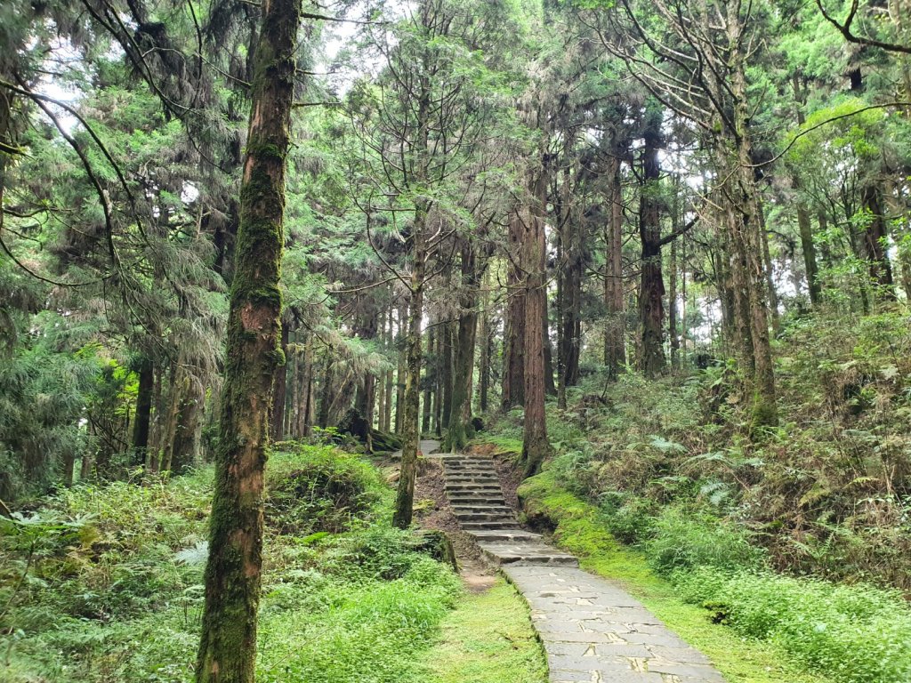 祝山觀日步道封面圖