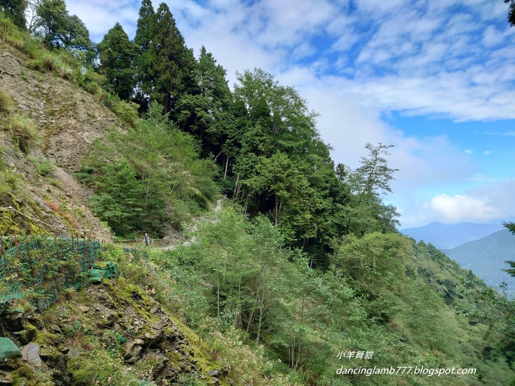 【新竹】觀霧森林遊樂區：檜山巨木群步道_2397408