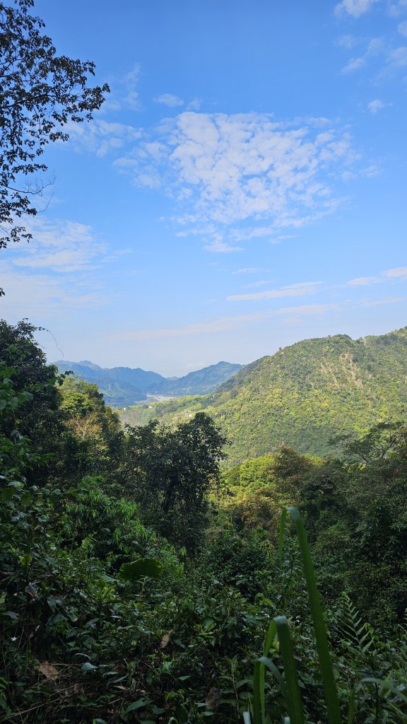 【美美兔走山趣】谷關抓雄-老六白毛_2749940