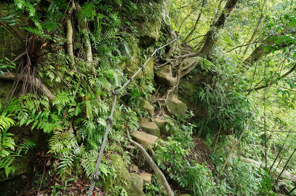 臺北 文山 指南山、猴山岳、魚衡山、大前坑山、猴山坑山、祥光寺後山、金頭山_2774967