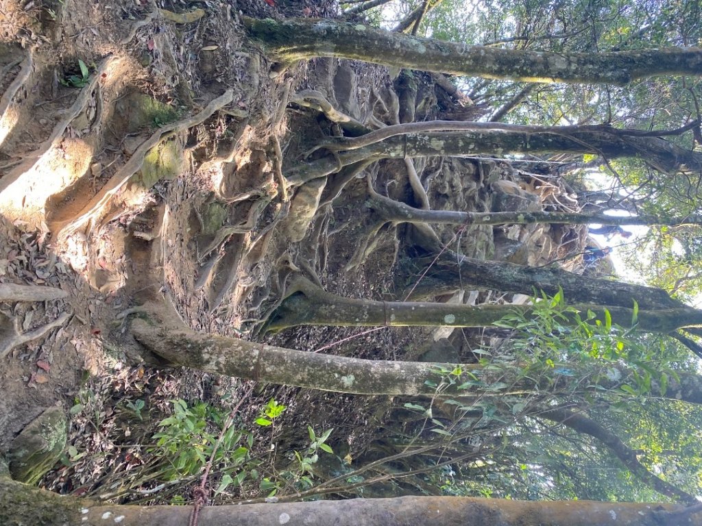 033仙山(神仙縱走）_2604247
