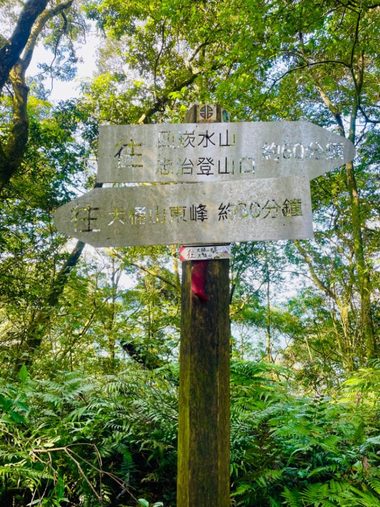 烏桶縱走-連走四崁水山出桂山-烏來大桶山野餐輕鬆愜意行_2630323