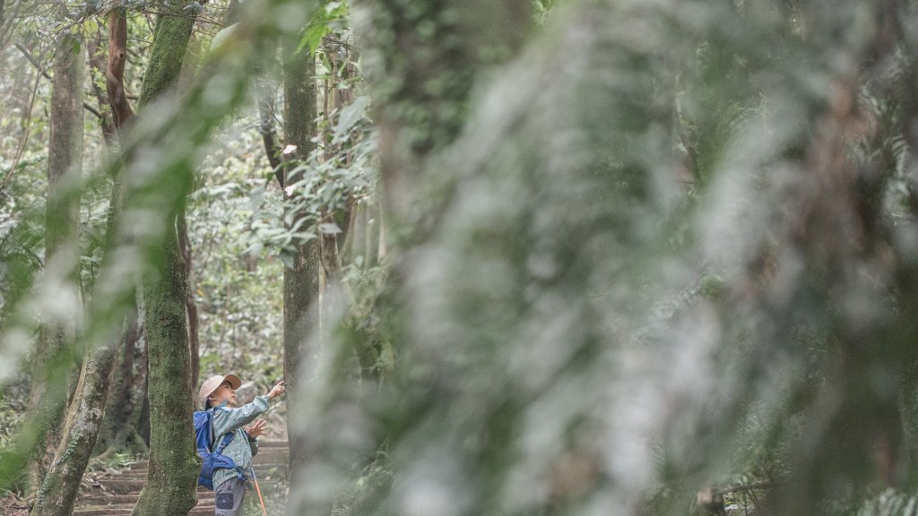 五色風馬旗海-四分尾山(天道清修院起登)_2106840