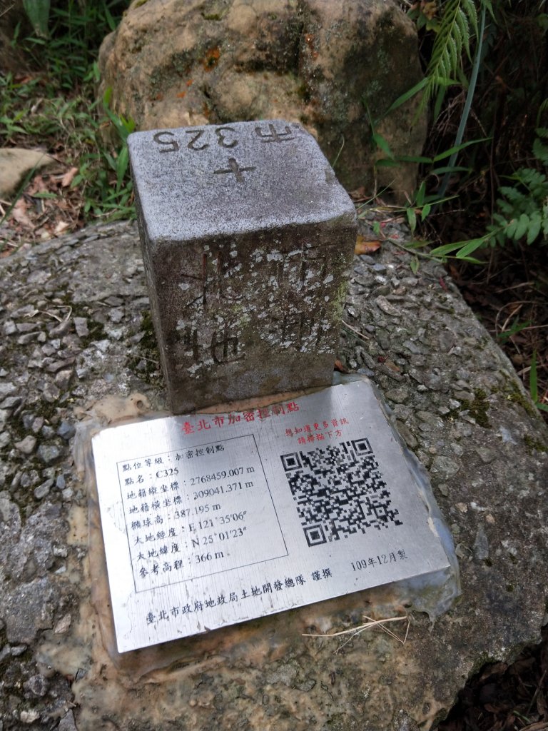南港山縱走親山步道(拇指山、南港山、象山、九五峰)_1820236