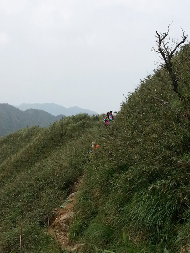 聖母山莊歩道 107.04.22(日)_454215