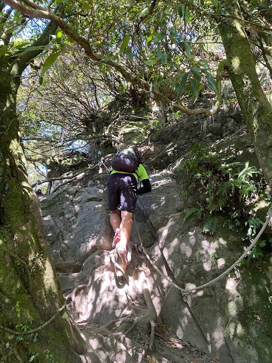 苗栗_大坪出發~杜鵑嶺/加里山_1485812