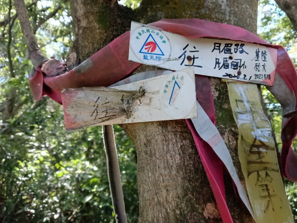 基隆市金交椅山+金交椅南峰+紅淡山東北峰、北北峰、北峰+紅淡山+厲翼嶺出三坑車站_2903212