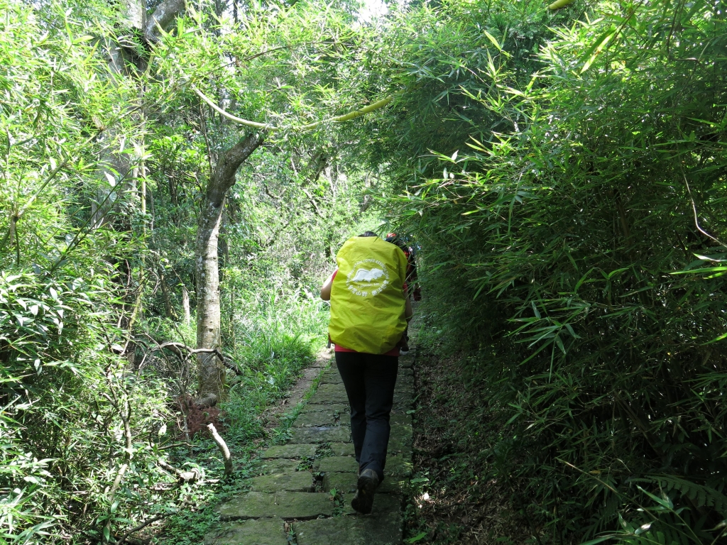 始祖鳥X健行筆記坪頂古圳半日健行活動_50767