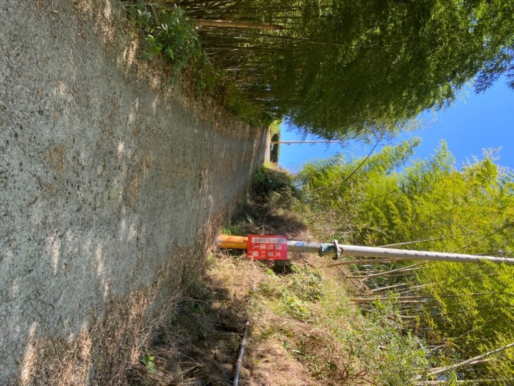 鹿谷小半天大崙尾山步道_1537501