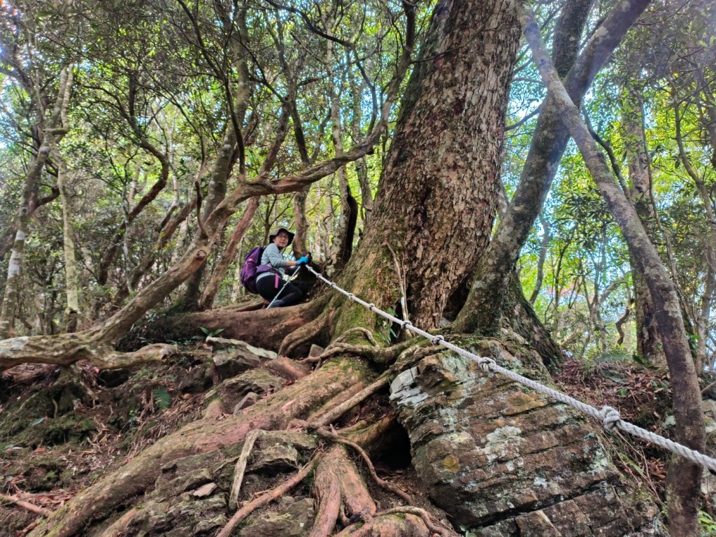 1130511夫拉縱走_2500139