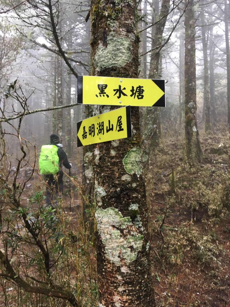 邊緣系山友:四季連放嘉明湖_550252