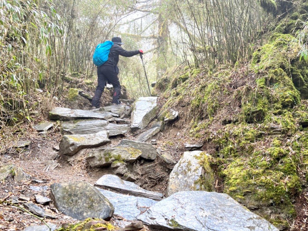 霧淞白頭合歡東_2071822
