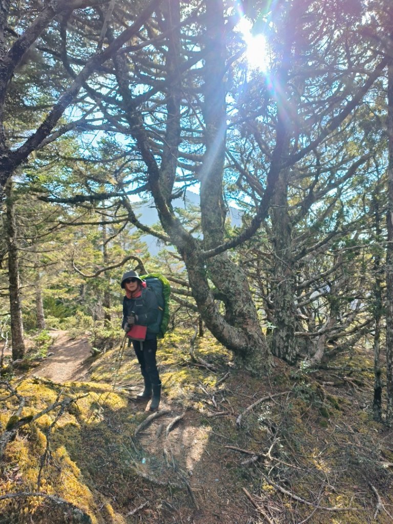 20240320 馬博8天縱走~第五天，馬里亞文路山，馬利加南山_2471184