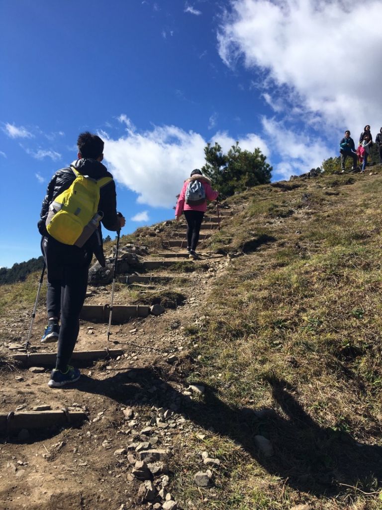 1061231麟趾山.鹿林山_303258