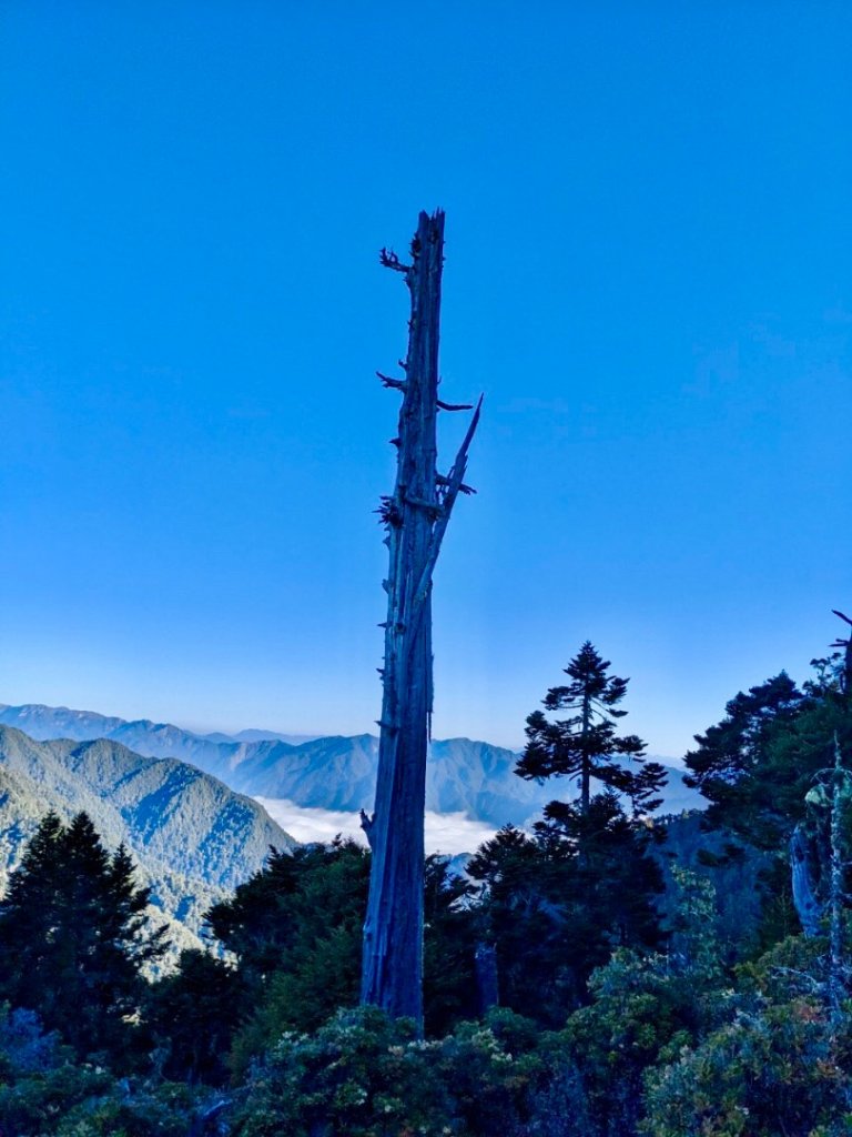 啟動高山度假模式～阿蓮五虎兄弟之馬博橫斷_2073061